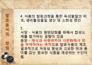 칼피스 제조(칼피스 만들기).ppt 6페이지