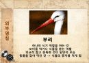 관상조 (관상조, 외부명칭, 호흡기 및 소화기, 사육의 준비).ppt 7페이지