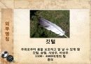 관상조 (관상조, 외부명칭, 호흡기 및 소화기, 사육의 준비).ppt 8페이지