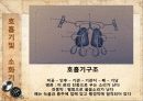 관상조 (관상조, 외부명칭, 호흡기 및 소화기, 사육의 준비).ppt 12페이지