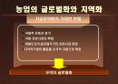 동북아 농업 시스템 구축의 논리와 구조.ppt 6페이지