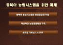 동북아 농업 시스템 구축의 논리와 구조.ppt 15페이지
