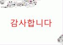 “멘토제도”.ppt 13페이지