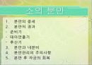 소(한우)의 분만.ppt 2페이지