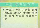 소(한우)의 분만.ppt 3페이지