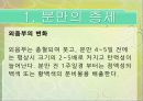 소(한우)의 분만.ppt 6페이지