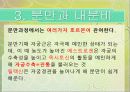 소(한우)의 분만.ppt 16페이지