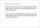 귀 코 입 23페이지