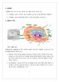 운동생리학 - 세포의 구조 및 기능 3페이지