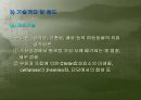생리활성물질 9페이지