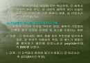 생리활성물질 11페이지