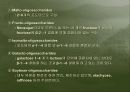 생리활성물질 14페이지