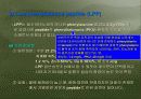 생리활성물질 25페이지