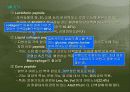 생리활성물질 30페이지