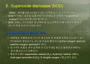 생리활성물질 33페이지