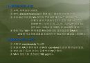 생리활성물질 54페이지