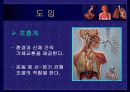 호흡 생리 2페이지