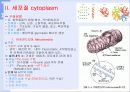 생물수업자료 13페이지