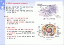 생물수업자료 14페이지