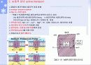 생물수업자료 36페이지