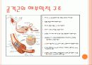운동생리학 6페이지