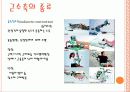 운동생리학 14페이지