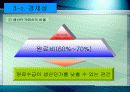 에너지자원공학-바이오디젤(본문발표)-Final 12페이지