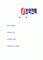 [한국전력공사 대체인력 합격 자기소개서] - 한국전력공사 비젼, 예상 면접 기출문제 2페이지