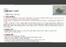 한국의_전통마을 40페이지