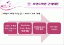 브랜드 확장 전략, 성공 실패 사례 10페이지