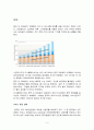 중국 IT 산업에 대한 조사 4페이지