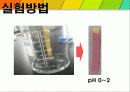 산과 염기의 적정.ppt 17페이지