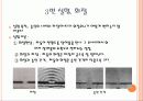 일반물리실험-수면파 14페이지