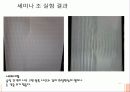 일반물리실험-수면파 16페이지