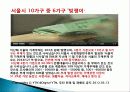 가계부채현황과 대책 24페이지