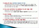 가계부채현황과 대책 26페이지
