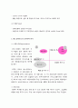 베스킨 라빈스 외식마케팅 9페이지
