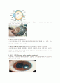 감각기관 5페이지