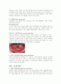 감각기관 7페이지