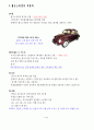 폭스바겐(volkswagen)의 역사 및 최신 엔진 기술 4페이지