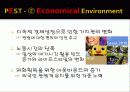[A+] 서울 시티투어 버스 마케팅  성공전략  SWOT분석  PEST분석  경쟁자분석  STP  홍보방안  시장세분화  문제점  개선방안 9페이지