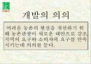 [A+] [관광자원개발사례조사] 벌랏 한지의 자원가치 분석  벌랏한지의 본질과 가치  개발의 필요성  가치분석 종합  접근방법  가치활용구상  활용방안  기대효과 7페이지