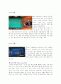 [A+] 카지노 조사보고서 카지노 어원  파이고우포커  블랙잭  룰렛  크랩스  렛잇라이드포커  카지노워  룰렛 필승기법  카지노딜러 자격요건 업무시간 직업특성 강원랜드  돈따는법 딜러이미지 6페이지