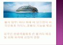 [A+] [관광개발론] 새만금 조사보고서  새만금의 역사  새만금의 현재와 미래  문제점  간척지  비응도  군산시  시화호  수질문제  개선방안  미래  향후  전망 9페이지