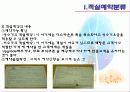[A+] 객실예약에 대한 조사보고서  베스트 웨스턴 비전호텔 조사방문  예약의 분류  예약형태  객실예약 내용  총지배인 인터뷰  객실회전률 8페이지