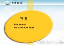 게임빌ppt 19페이지