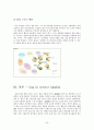 ㈜아모제 Marche(마르쉐) 서비스품질 분석 조사 보고서 (마르쉐 분석, Amoje 기업분석, 마르쉐 마케팅, Marche 마케팅) 24페이지