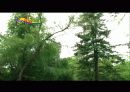 [A+] 포천 전통 술 박물관 - 산사원 조사보고서 푸쉬펙터 풀펙터 Push Factor Pull Factor 아쉬운점 문제점 개선방안 관광지개발사례 경기도관광지 산정호수 이동갈비 배상면주가 8페이지