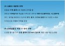 IKEA(이케아) 분석과 한국가구기업의 대응 방안.ppt 30페이지