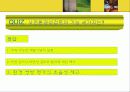 사전환경영양평가 17페이지